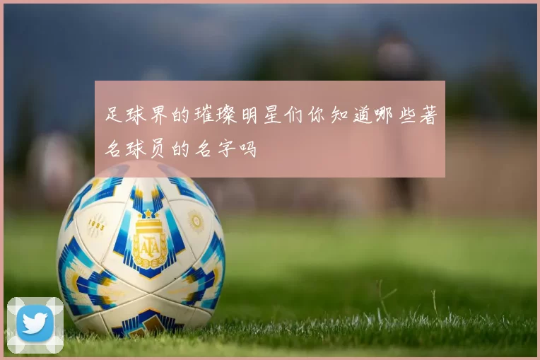 足球界的璀璨明星们你知道哪些著名球员的名字吗