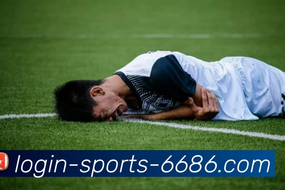 6686体育平台生态图